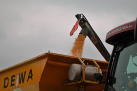 Maisdorsen pletten en inslurven met claas lexion 