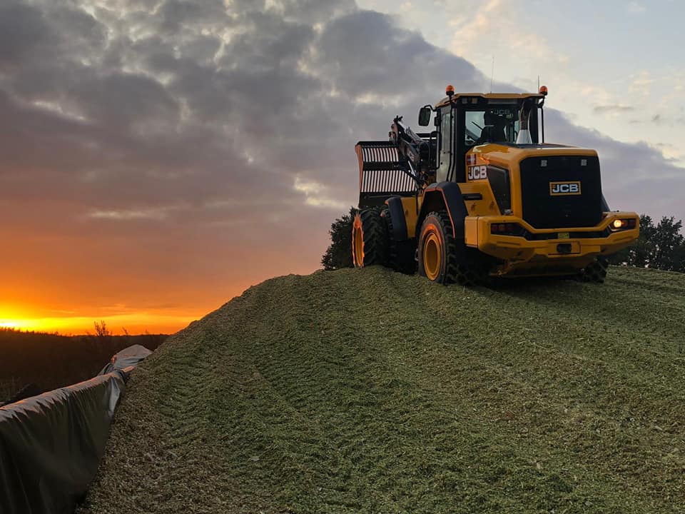 maishakselen maisoogst