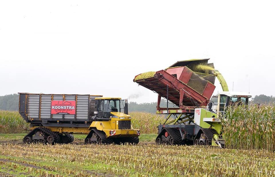 Maishakselen met bunkerhakselaar in Giethoorn en Paasloo