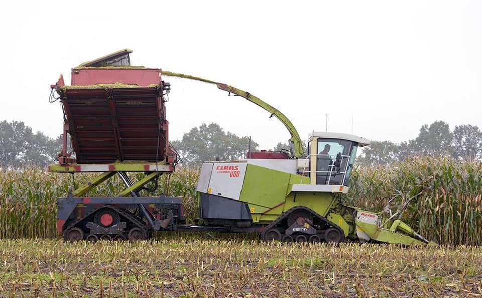 Koonstra Maisoogst maishakselen met bunkerhakselaar en Terra Gator op rupsen
