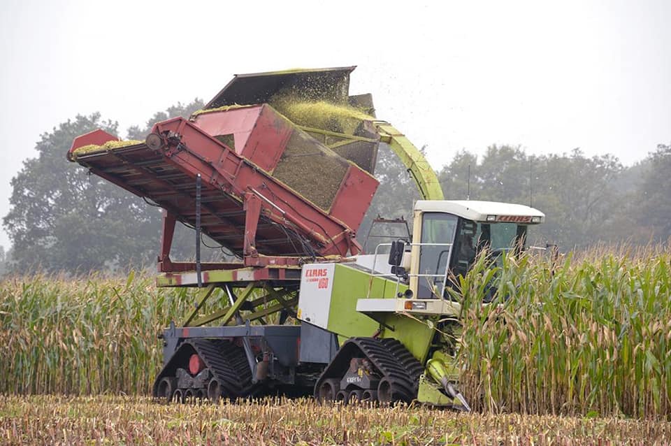 KOONSTRA - Maisoogst op rupsen