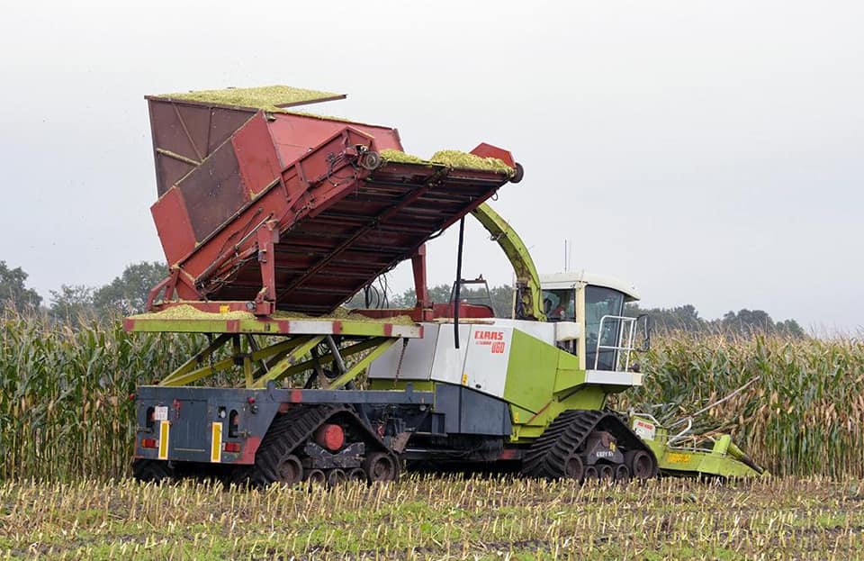 Koonstra Maisoogst maishakselen met bunkerhakselaar en Terra Gator op rupsen