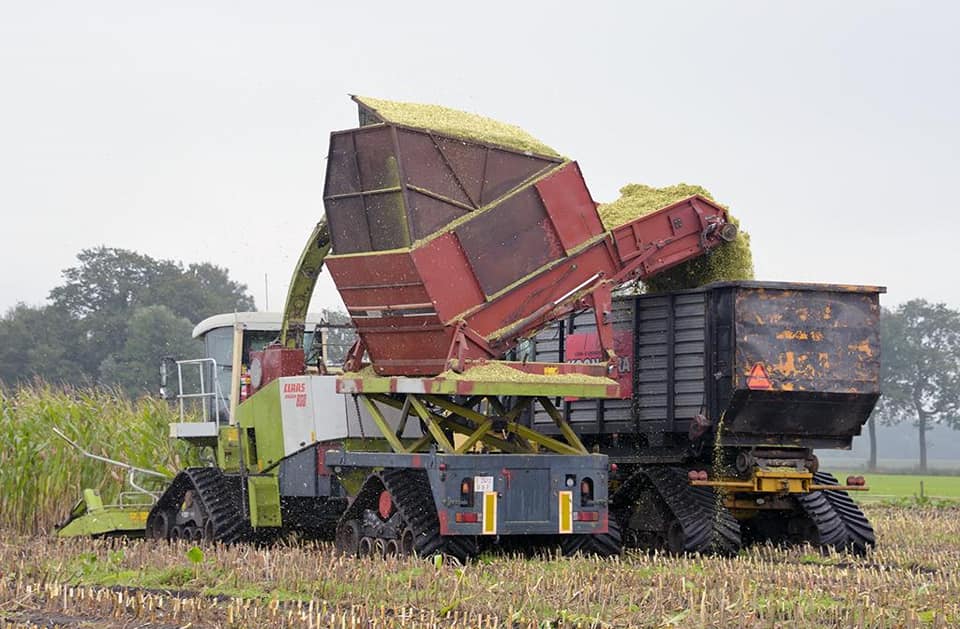 Koonstra Maisoogst maishakselen met bunkerhakselaar en Terra Gator op rupsen