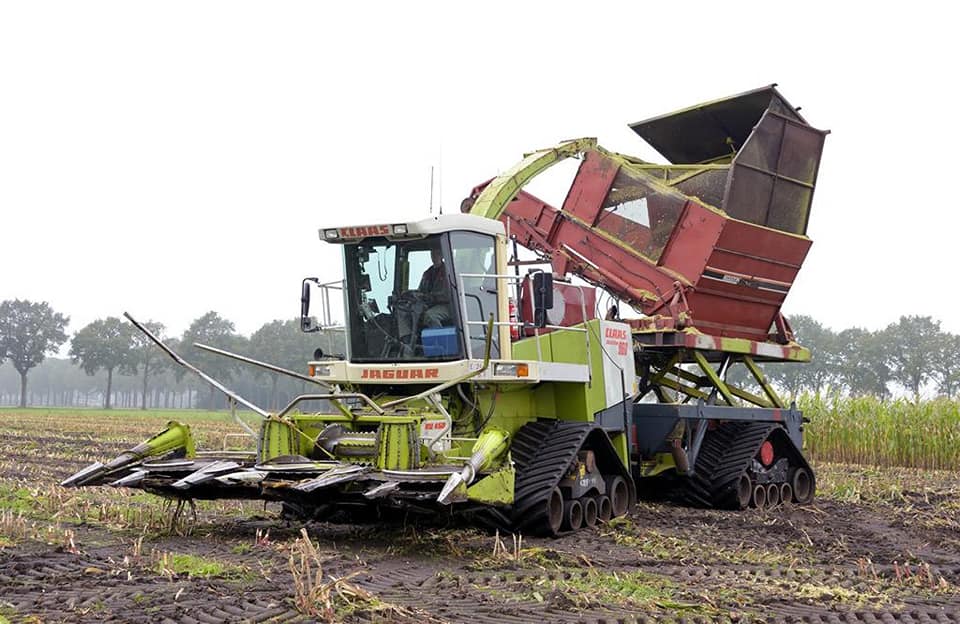 Koonstra Maisoogst maishakselen met bunkerhakselaar en Terra Gator op rupsen