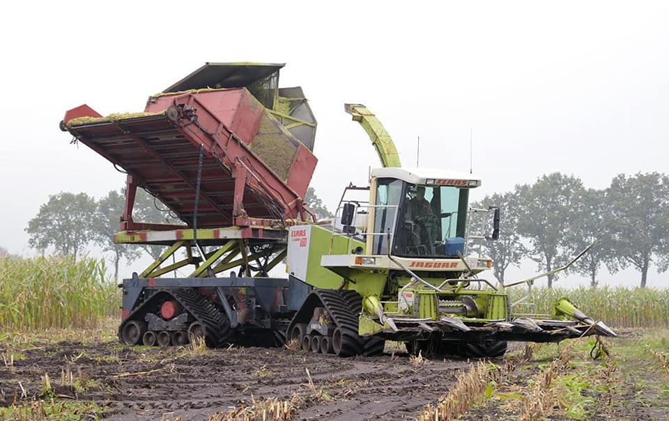 Koonstra Maisoogst maishakselen met bunkerhakselaar en Terra Gator op rupsen