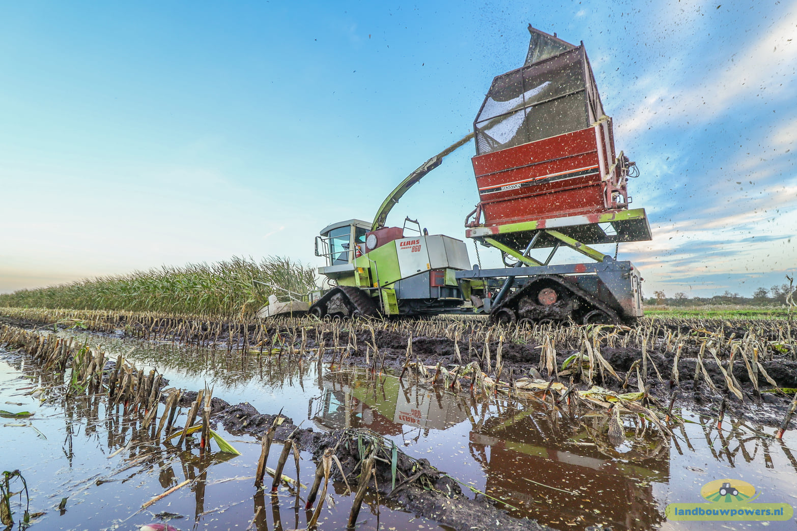 Mooie presentatie van het maishakselen op rupsen
