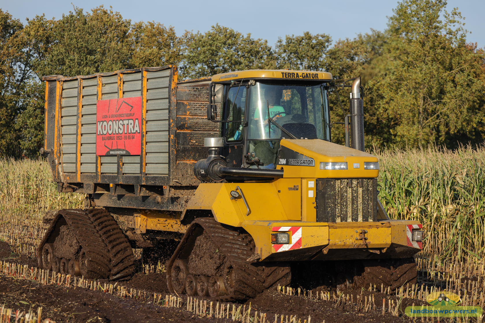 Koonstra maisoogst op rupsen met  Claas 860 bunkerhakselaar met Terra Gator rupsdumper 