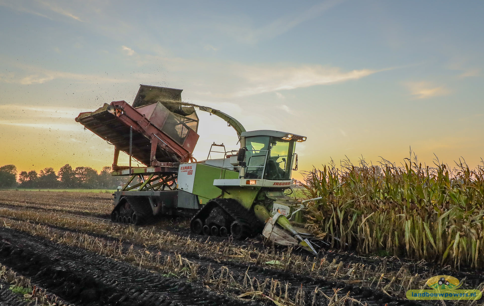 Koonstra maisoogst op rupsen met  Claas 860 bunkerhakselaar met Terra Gator rupsdumper 