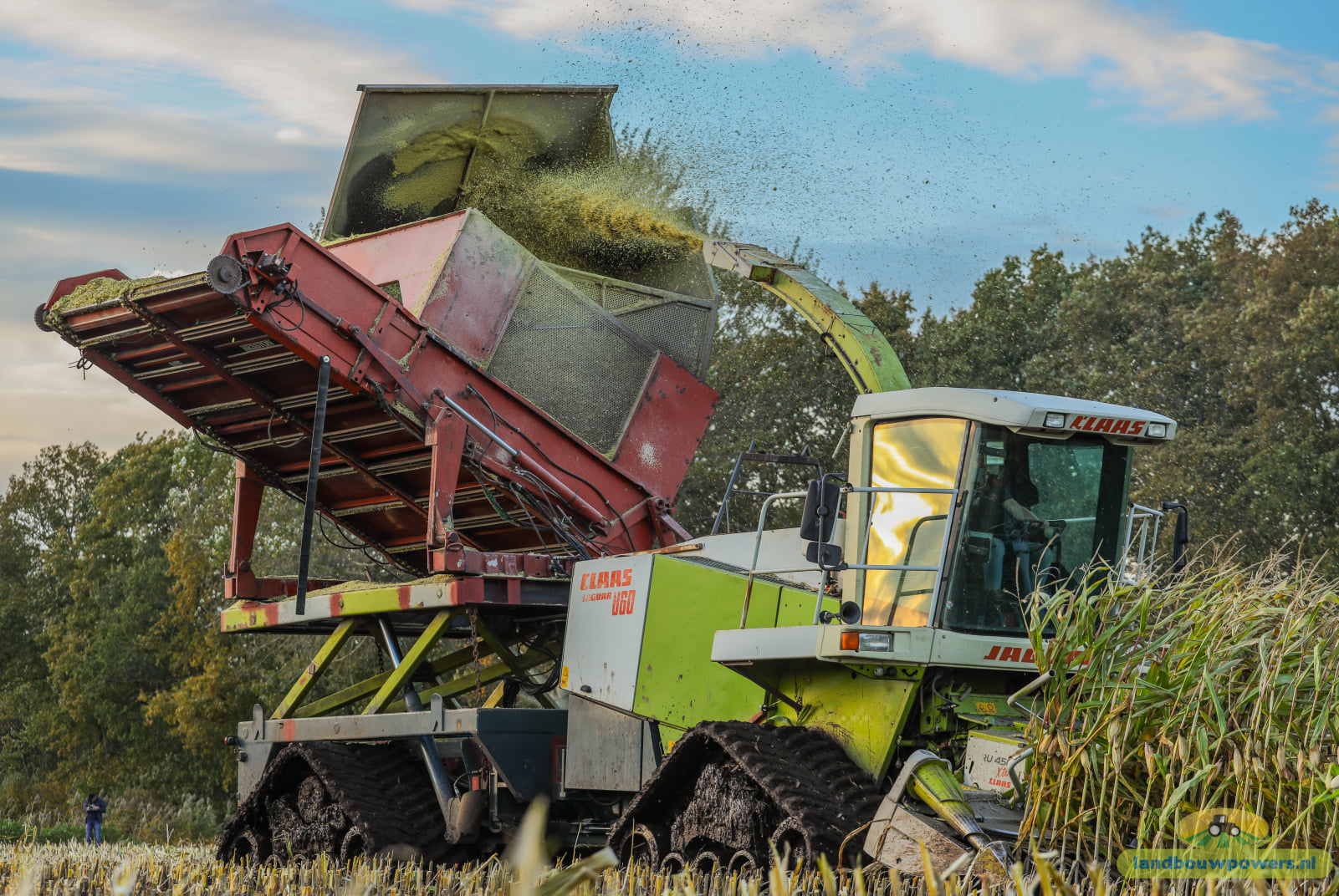 Koonstra maisoogst op rupsen met  Claas 860 bunkerhakselaar met Terra Gator rupsdumper 