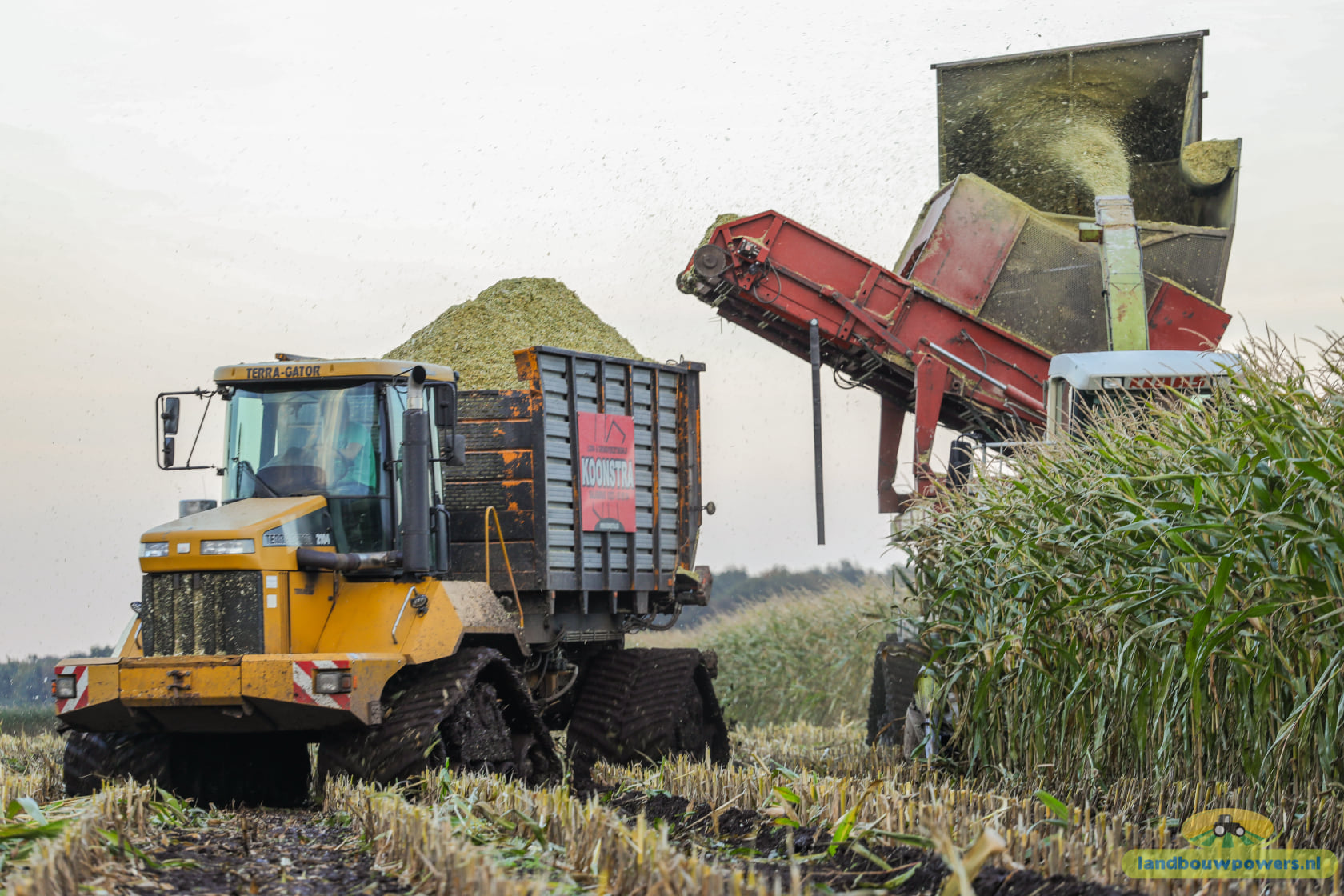 Koonstra maisoogst op rupsen met  Claas 860 bunkerhakselaar met Terra Gator rupsdumper 
