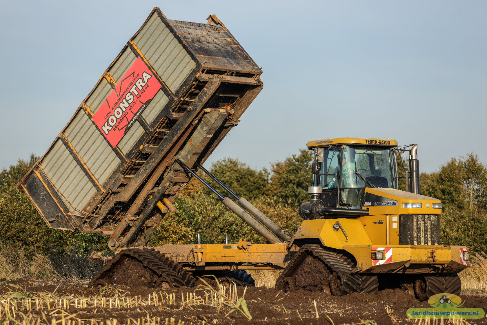 Koonstra maisoogst op rupsen met  Claas 860 bunkerhakselaar met Terra Gator rupsdumper 