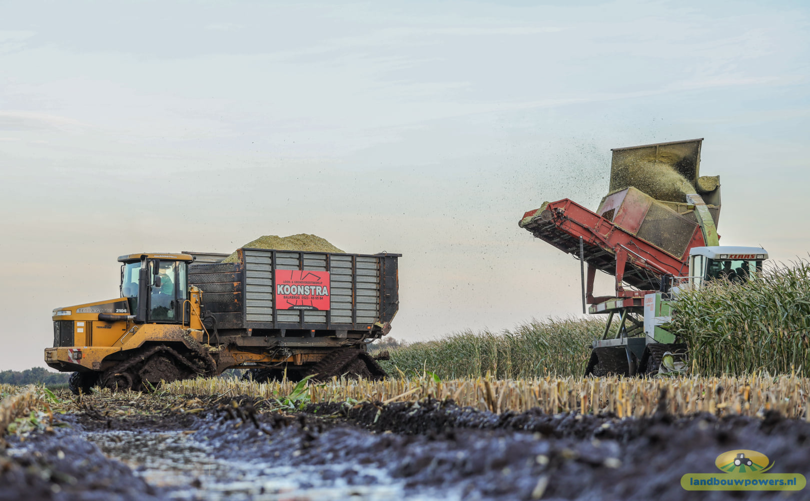 Koonstra maisoogst op rupsen met  Claas 860 bunkerhakselaar met Terra Gator rupsdumper 