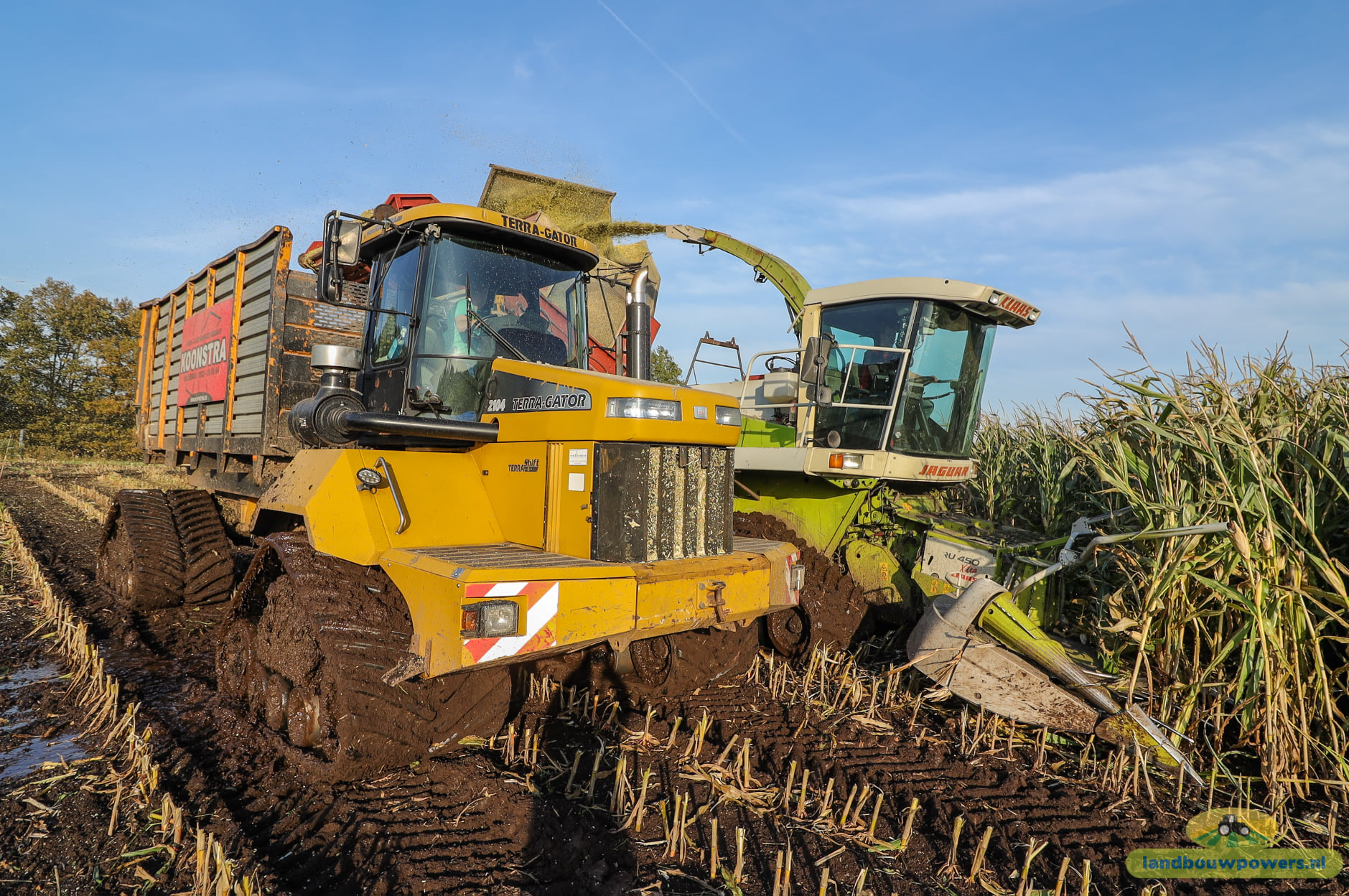 Mooie presentatie van het maishakselen op rupsen