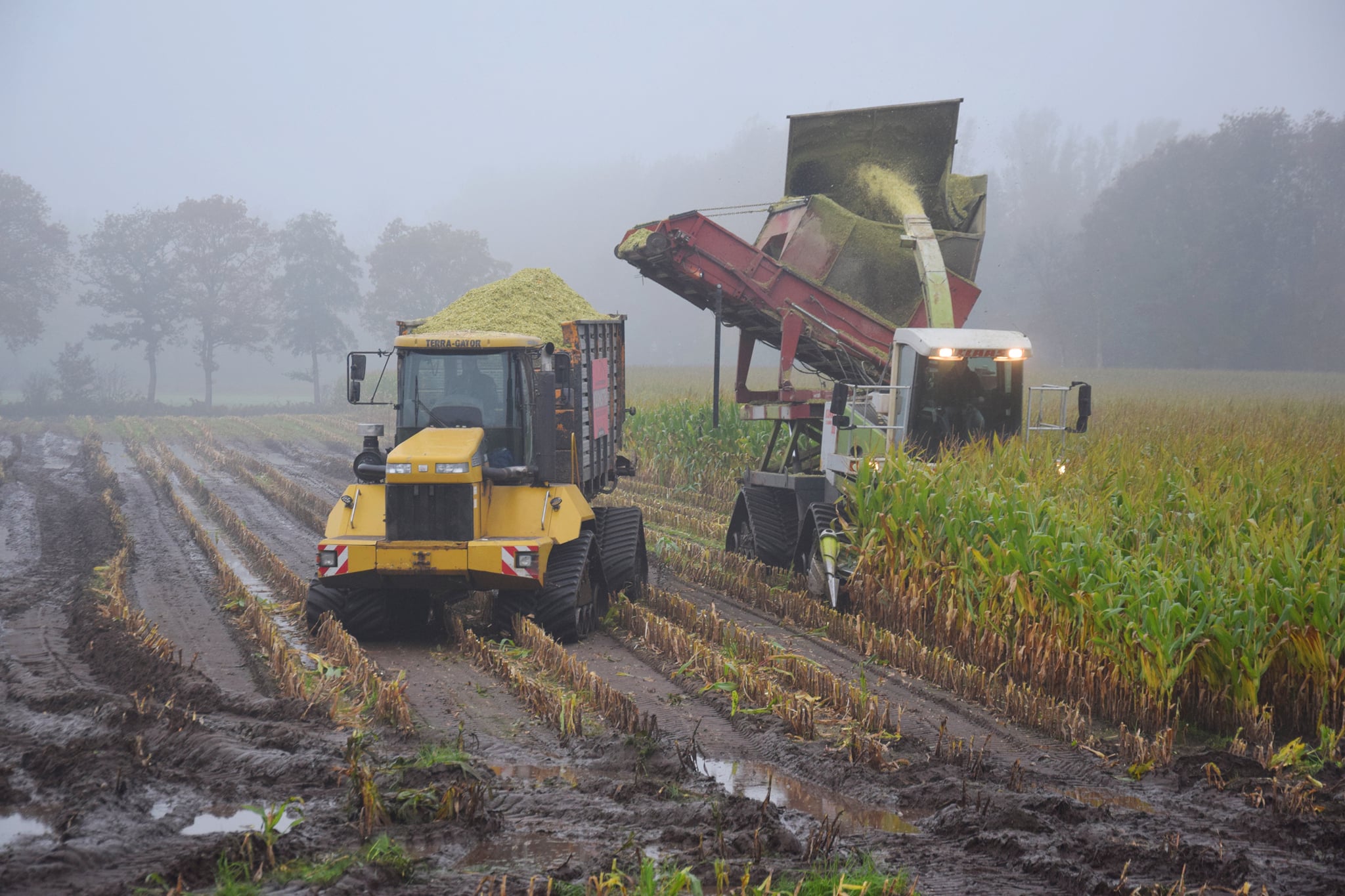 Afgelopen week volop op pad geweest met onze bunkerhakselaar en Terra Gator rupsdumper.