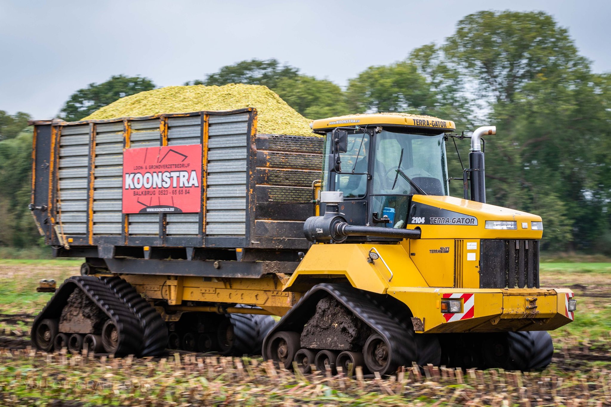 Maishakselen op rups