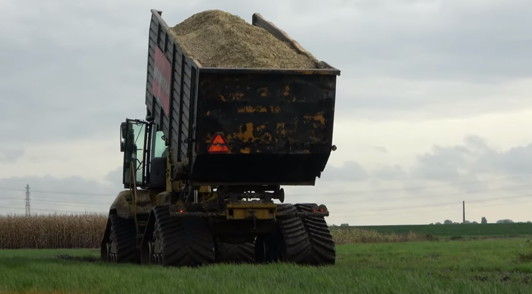 maishakselen op rups