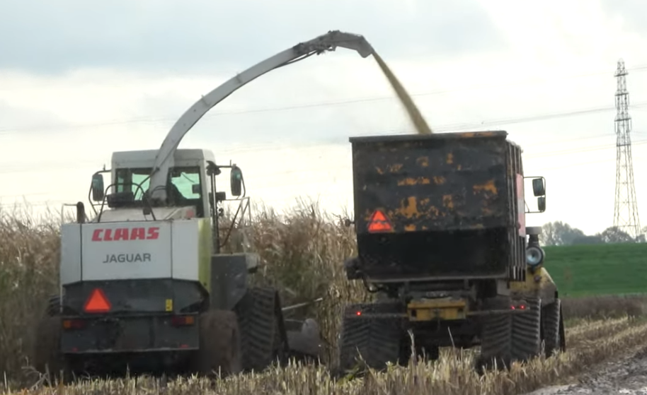 maishakselen op rups