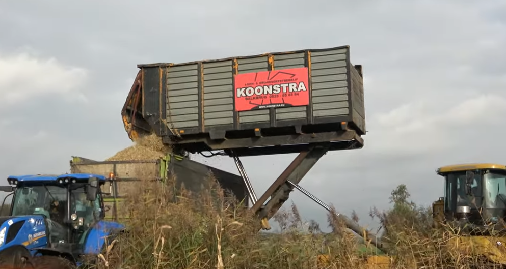 maishakselen op rups