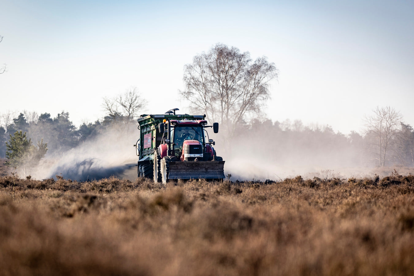 Steenmeel strooien op de heide