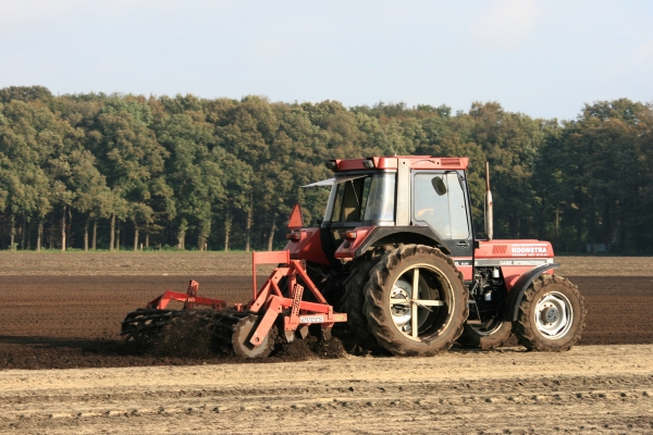 Cultiveren Koonstra Overijssel