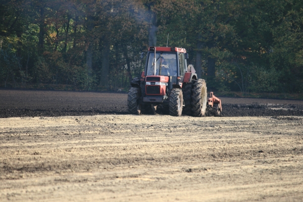 cultiveren gewassen cultiveren