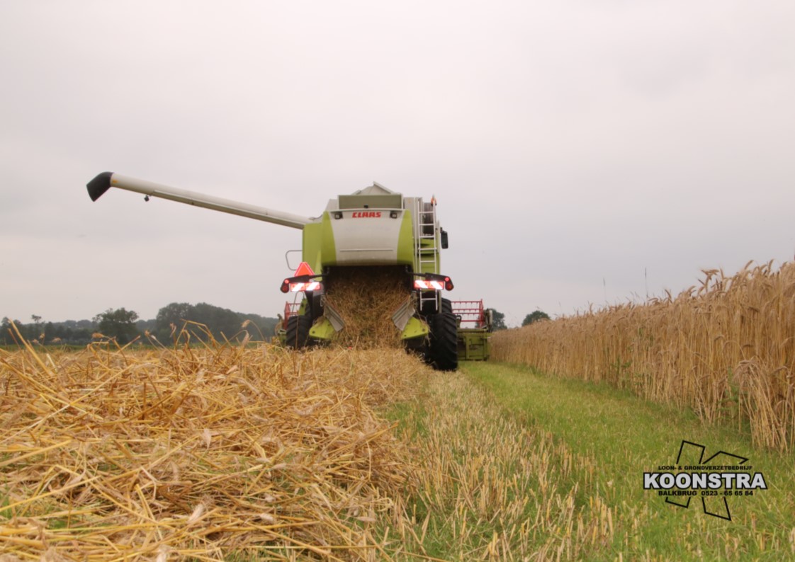 Combine graan dorsen