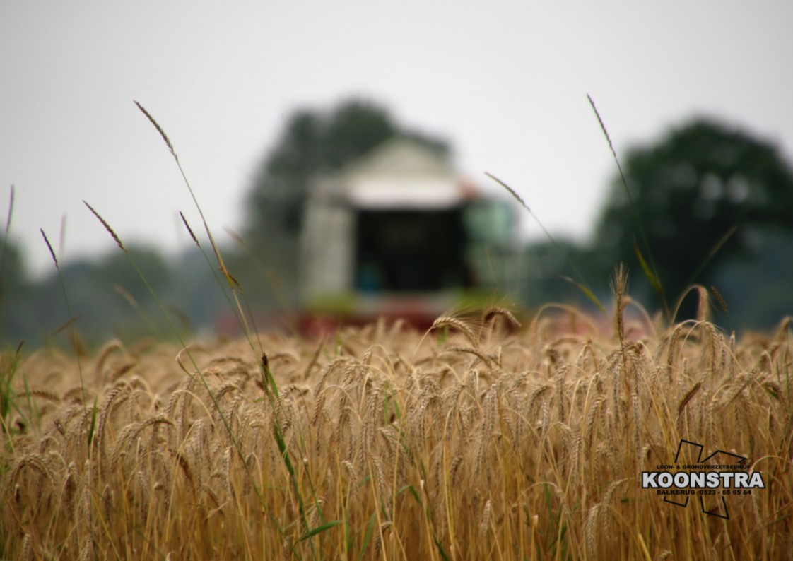 Combine graan dorsen