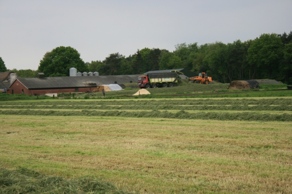 Loon- en grondverzetbedrijf Koonstra grasoogst grashakselen
