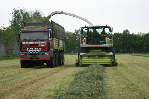 Loon- en grondverzetbedrijf Koonstra grasoogst grashakselen
