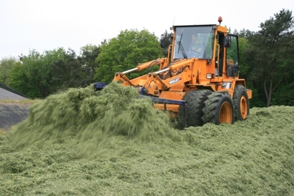 Loon- en grondverzetbedrijf Koonstra grasoogst grashakselen