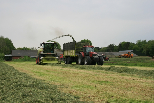 Koonstra Loonbedrijf grasoogst grashakselen