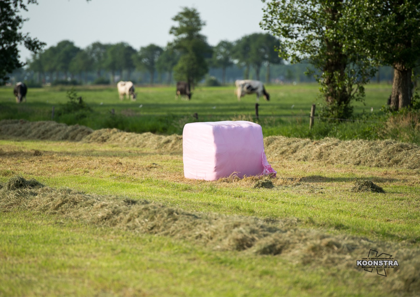 Balenpersen grootpakpers en wikkelen 