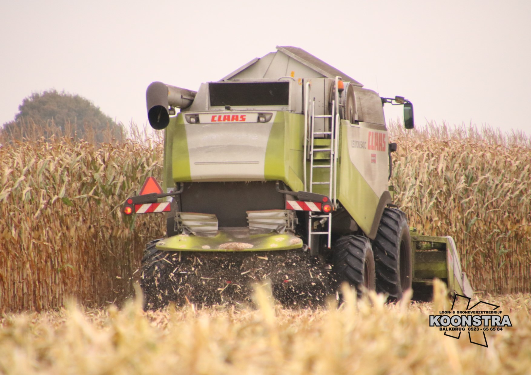 combine mais maisdorsen ccm