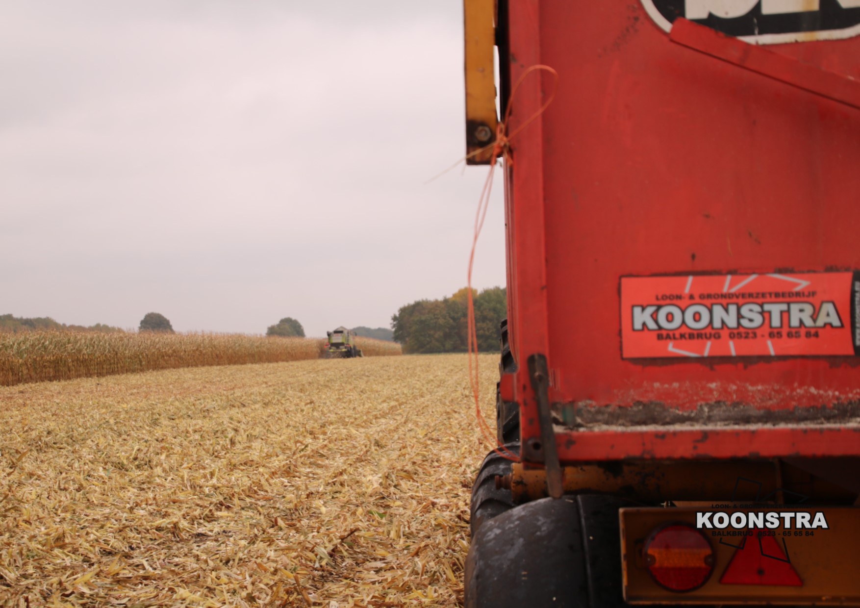 combine mais maisdorsen ccm