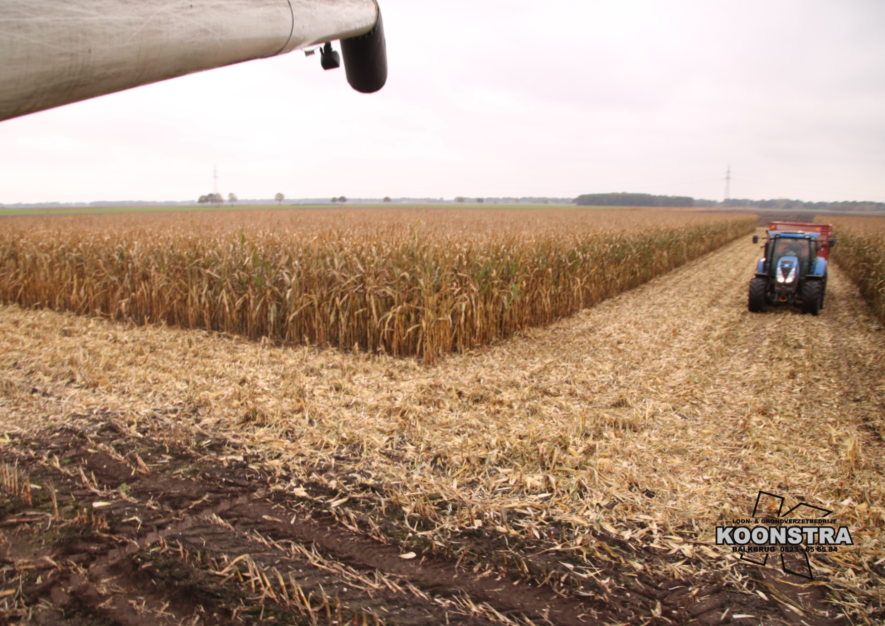 combine mais maisdorsen ccm