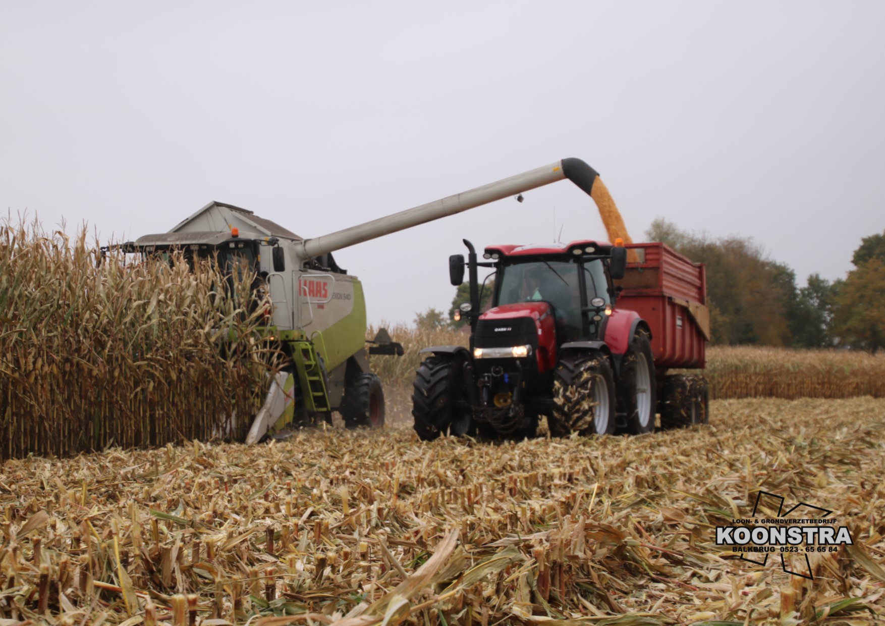 combine mais maisdorsen ccm