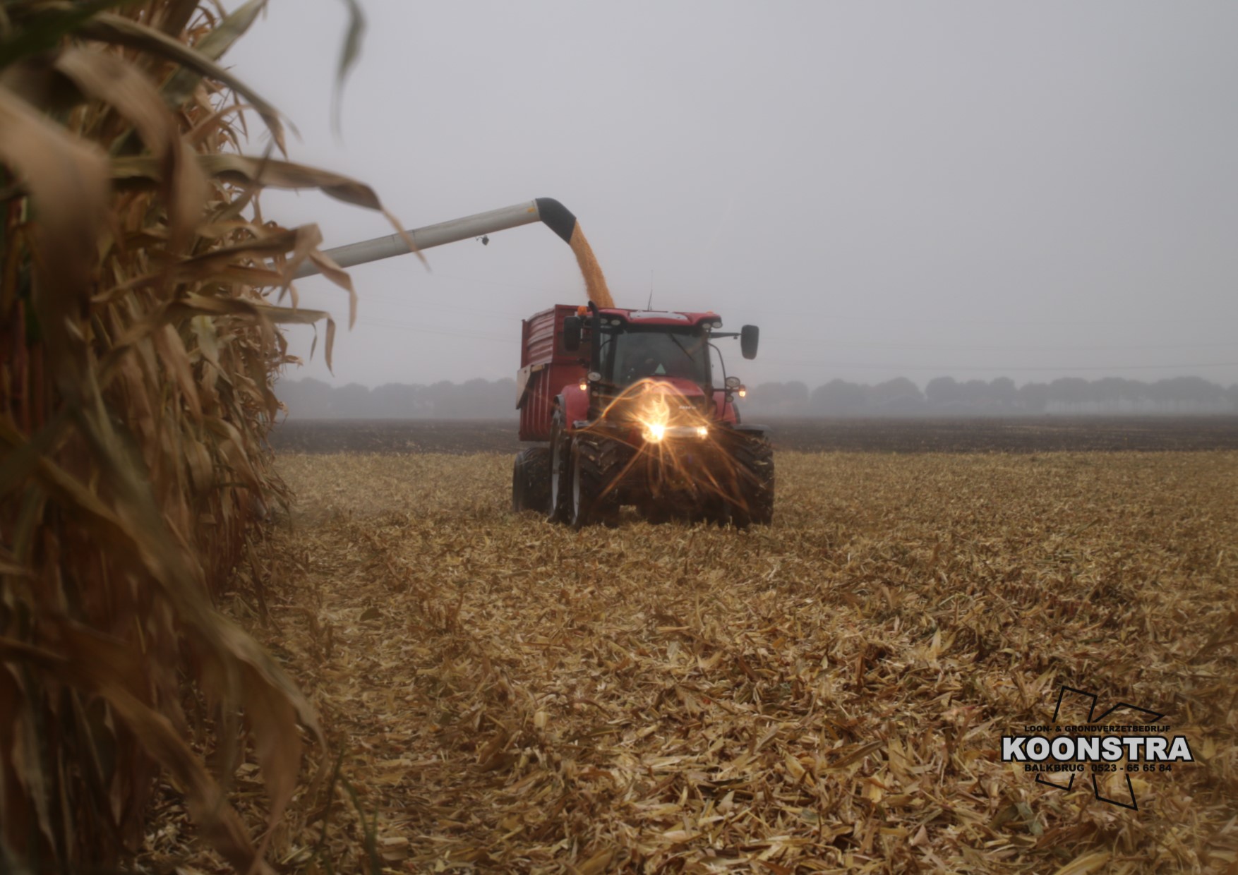combine mais maisdorsen ccm