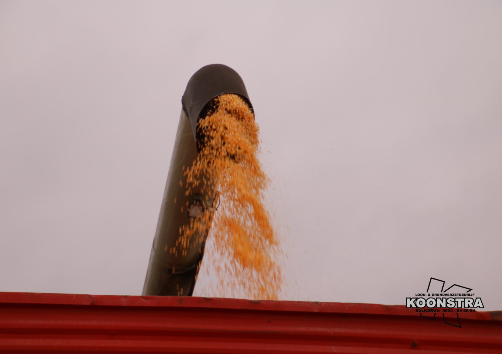 combine mais maisdorsen ccm