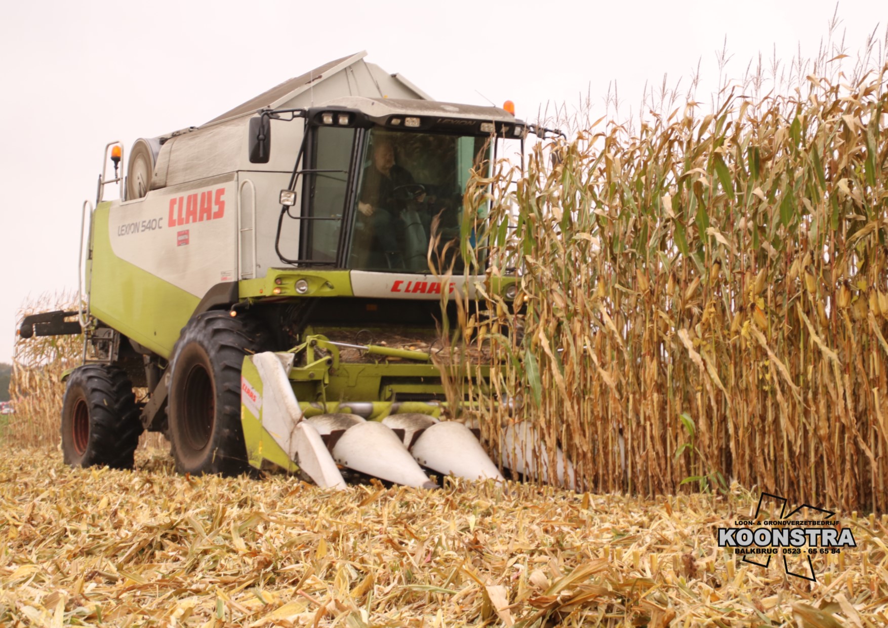 combine mais maisdorsen ccm