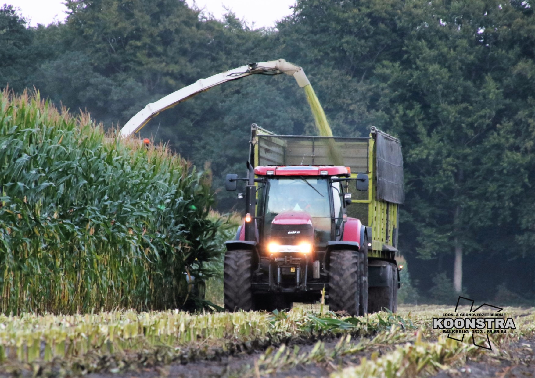 maishakselen maisoogst