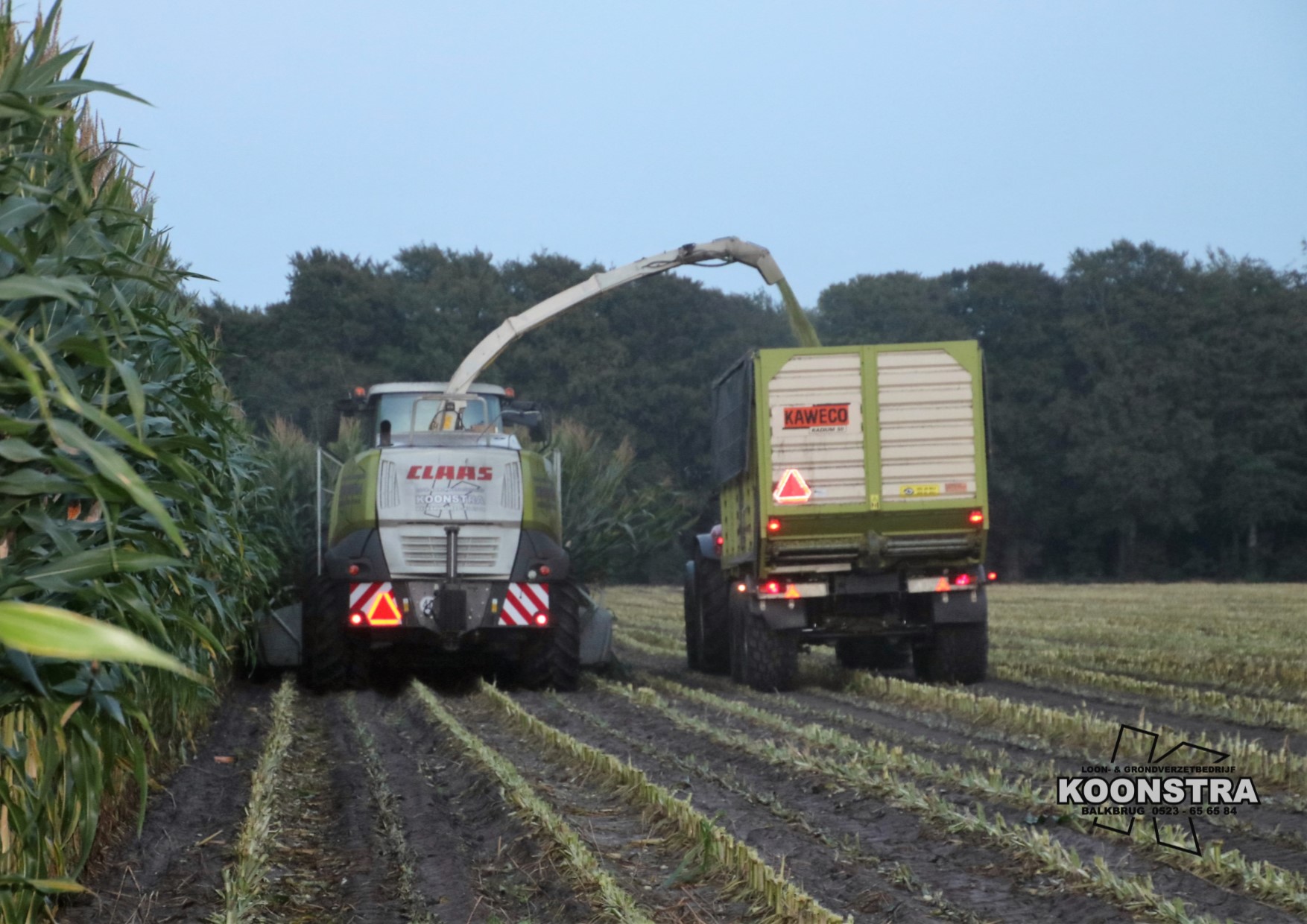 maishakselen maisoogst