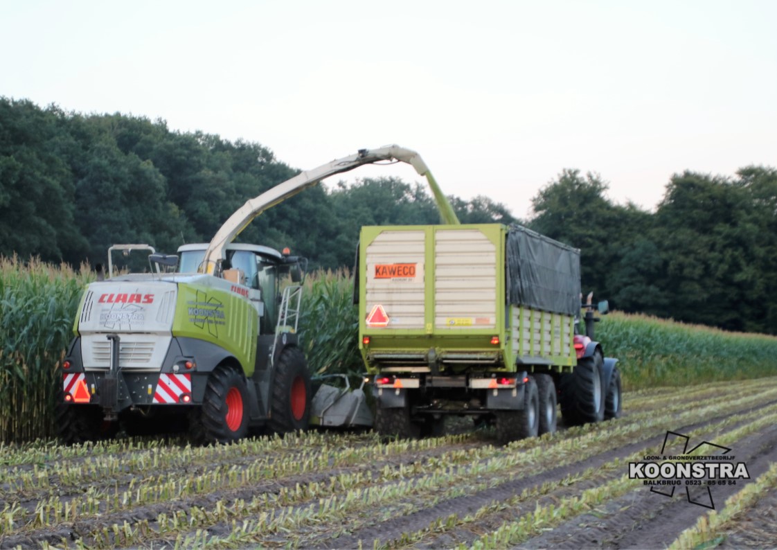 maishakselen maisoogst