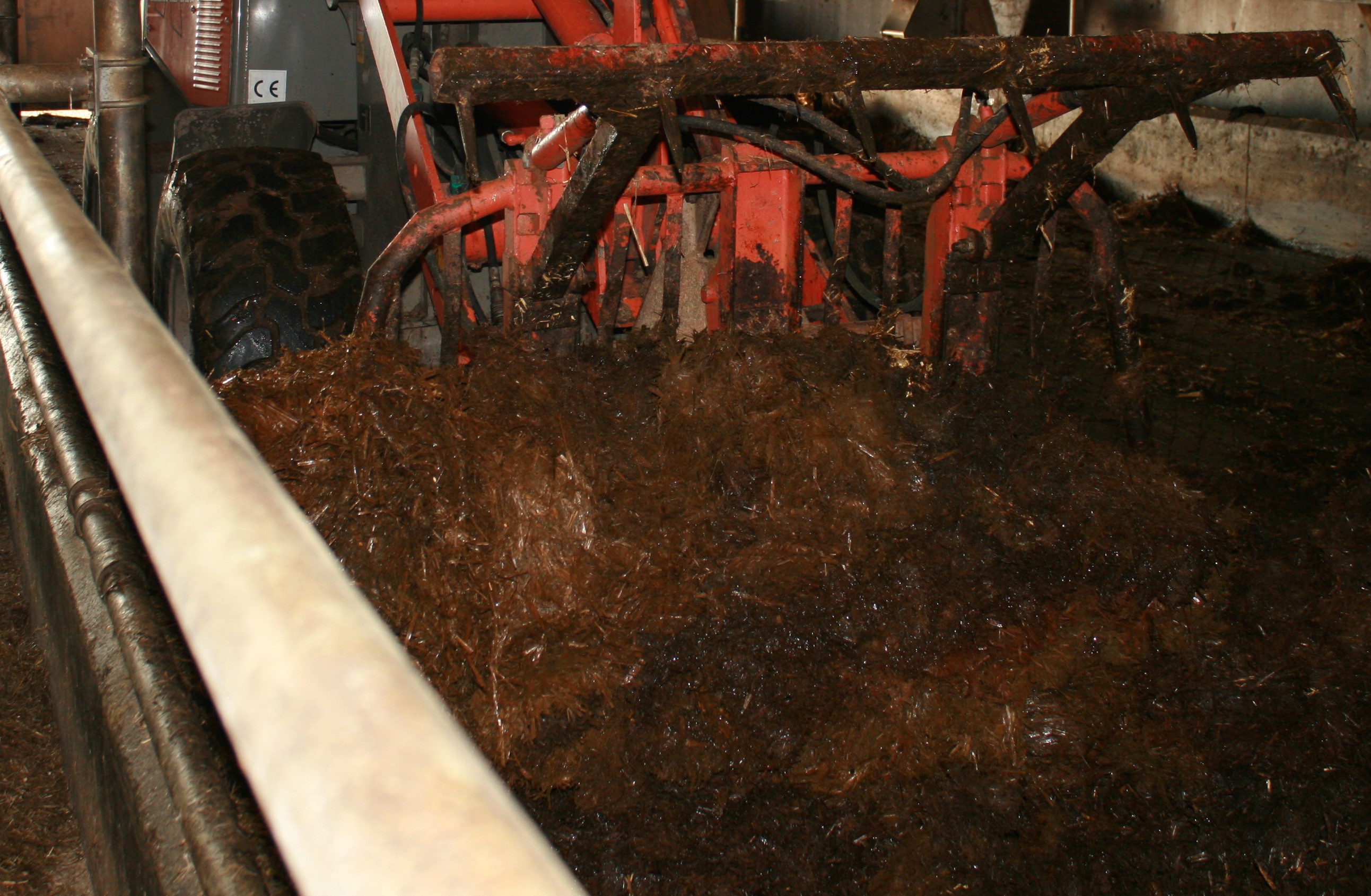 Potstal uitmesten met shovel Atlas met mestvork