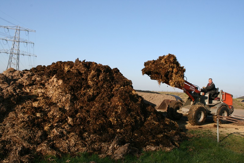 Potstal uitmesten shovel met mestvork