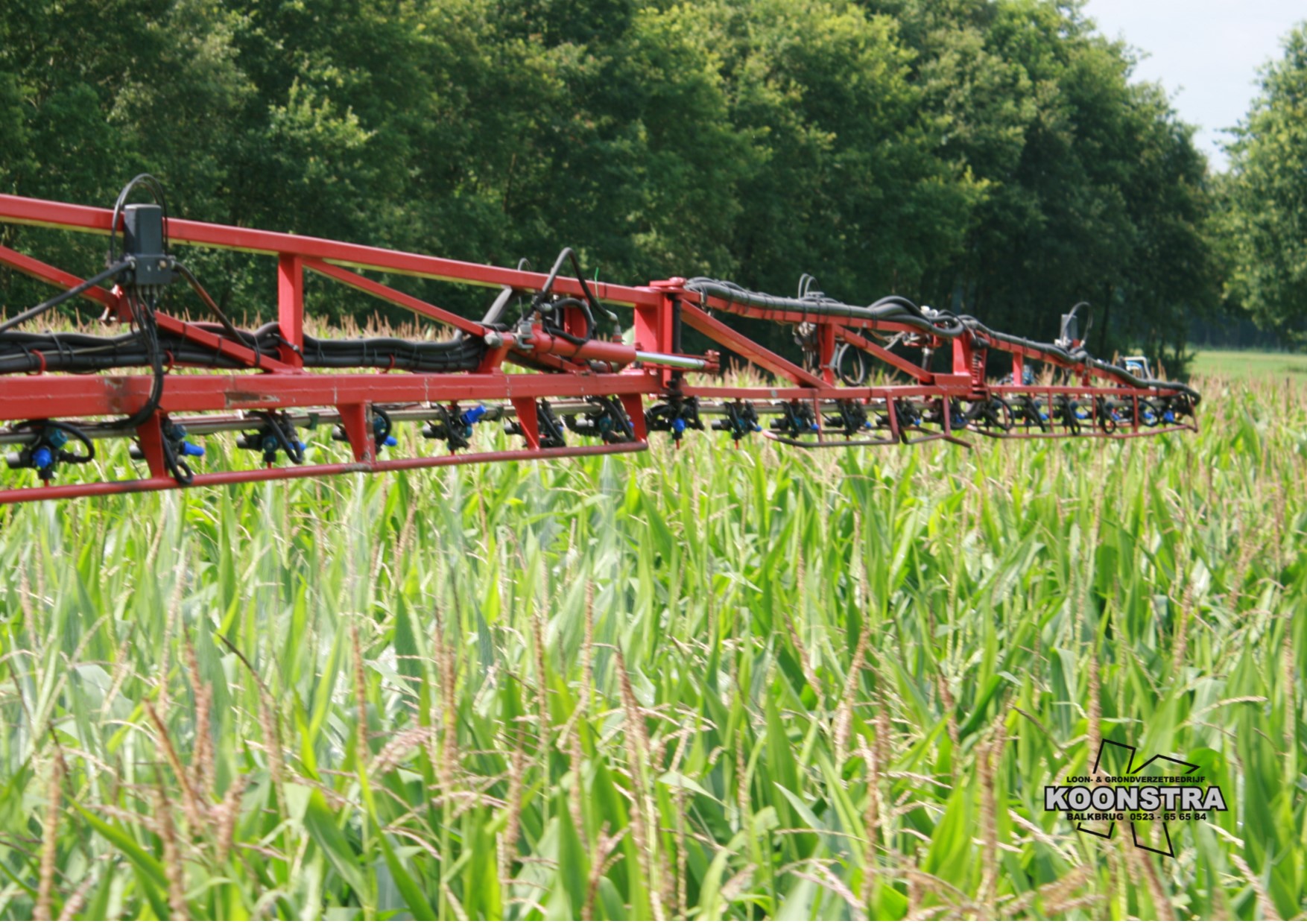 Schimmelbestrijding retengo plus 