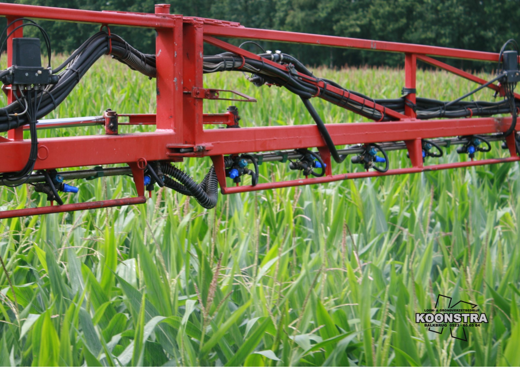 Schimmelbestrijding retengo plus 