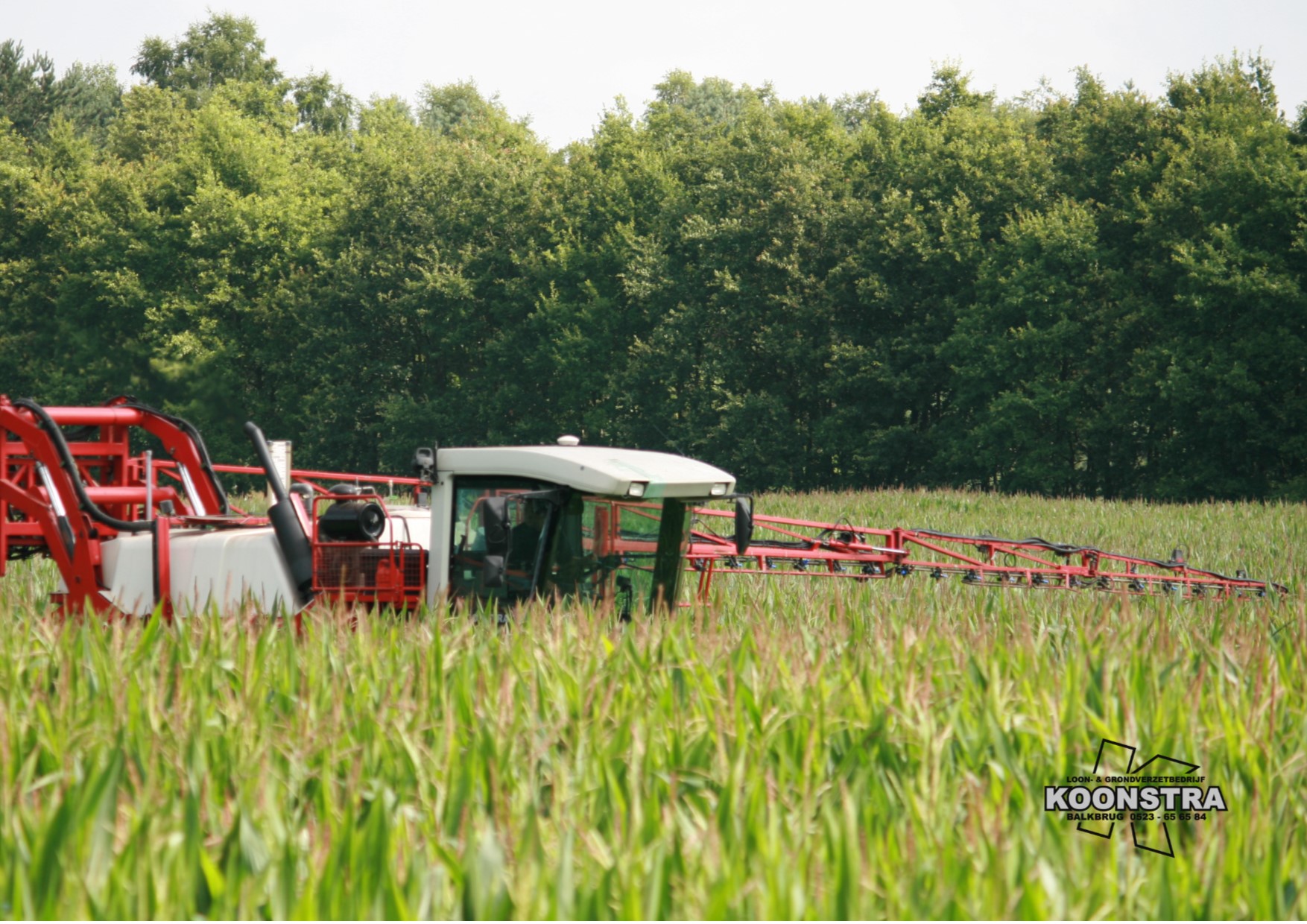 Schimmelbestrijding retengo plus 