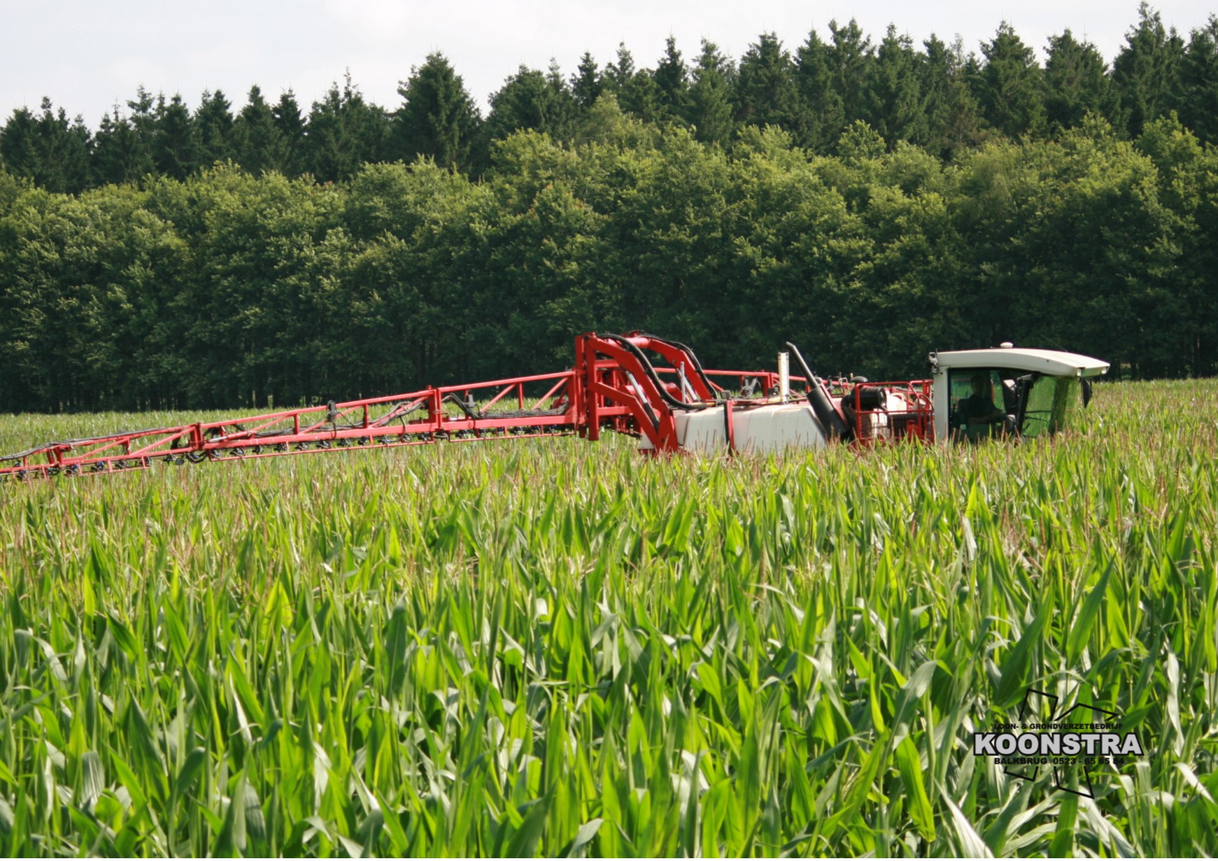 Schimmelbestrijding retengo plus 