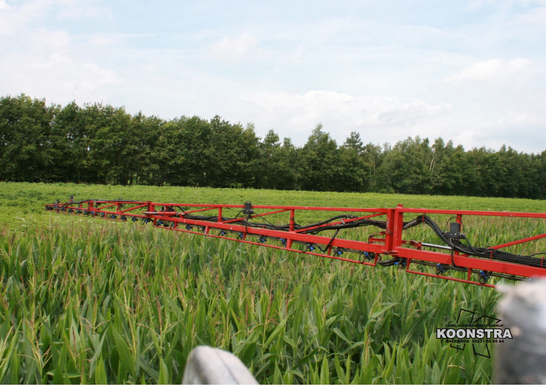 Schimmelbestrijding retengo plus 