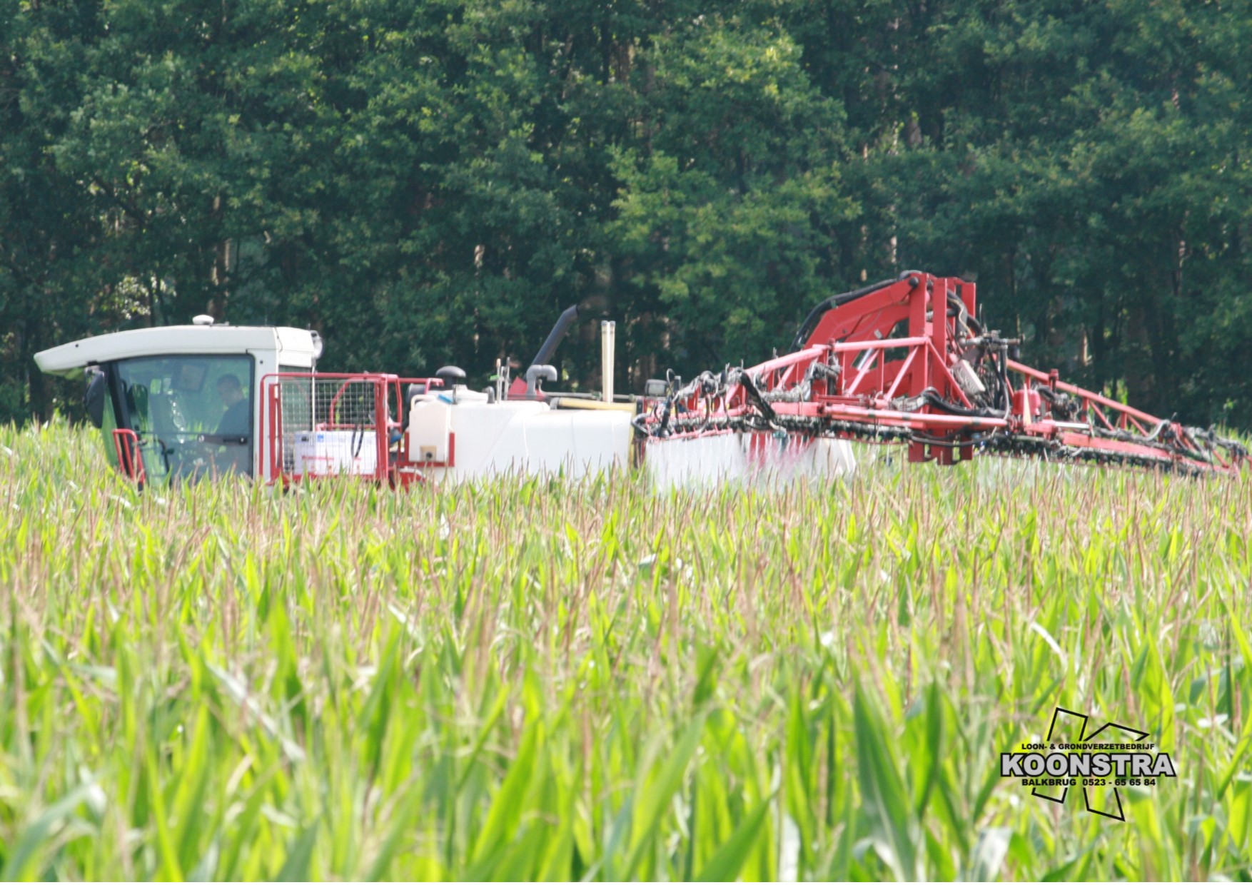 Schimmelbestrijding retengo plus 
